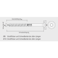 CELO Holzbauschraube BMax Tellerkopf TX, blau verz.,...