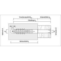 CELO Hohlblockrahmendübel HBR TX, m....