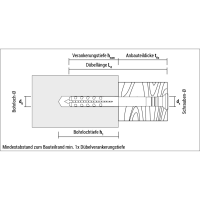 CELO Nageldübel NP, vormontiert, Flachbunddübel...